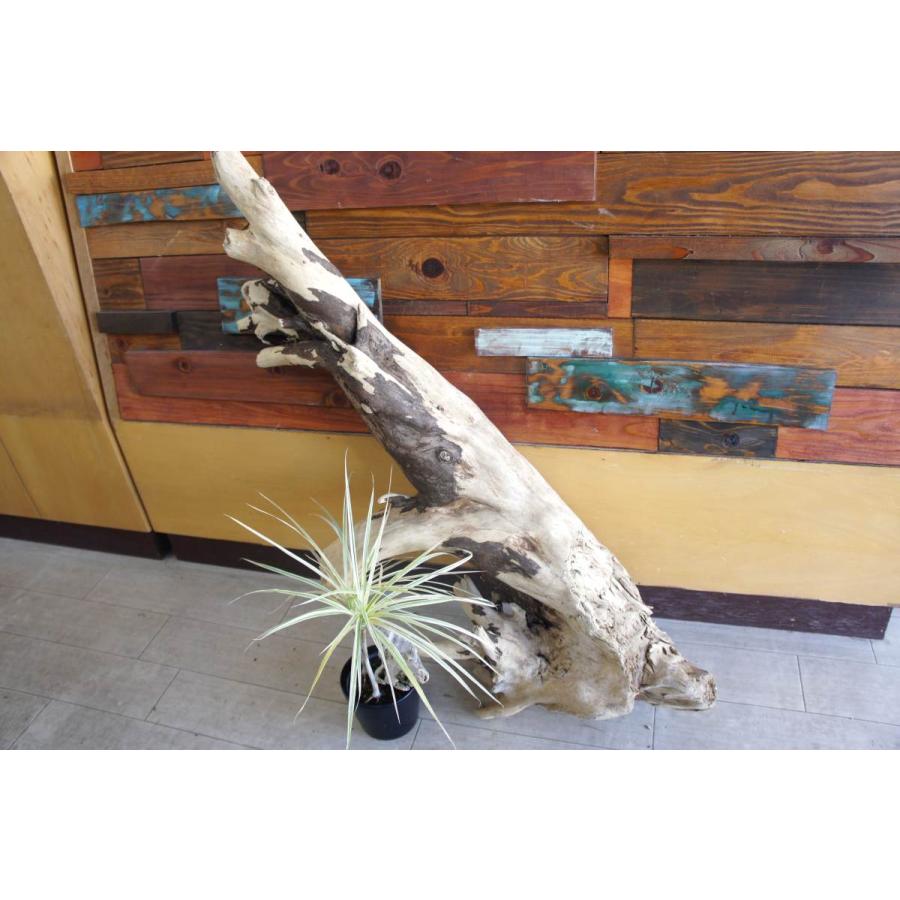 インテリア オブジェ 流木 おしゃれ ナチュラル 雑貨 観葉植物 ｄｉｙ リビング 室内装飾 大型サイズ 店舗 ディスプレイ 爬虫類 登り木 リフォーム 172 Ogata172 Wood Drops 通販 Yahoo ショッピング