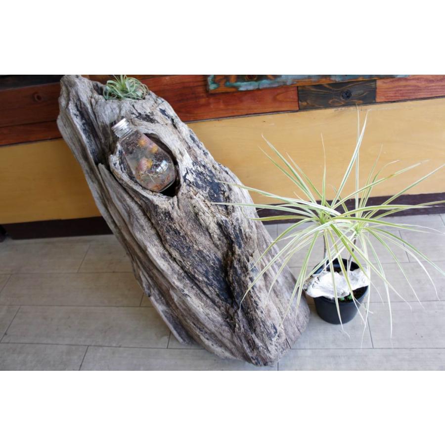 流木オブジェ　流木インテリア インテリア オブジェ 流木 おしゃれ ナチュラル 雑貨 観葉植物
