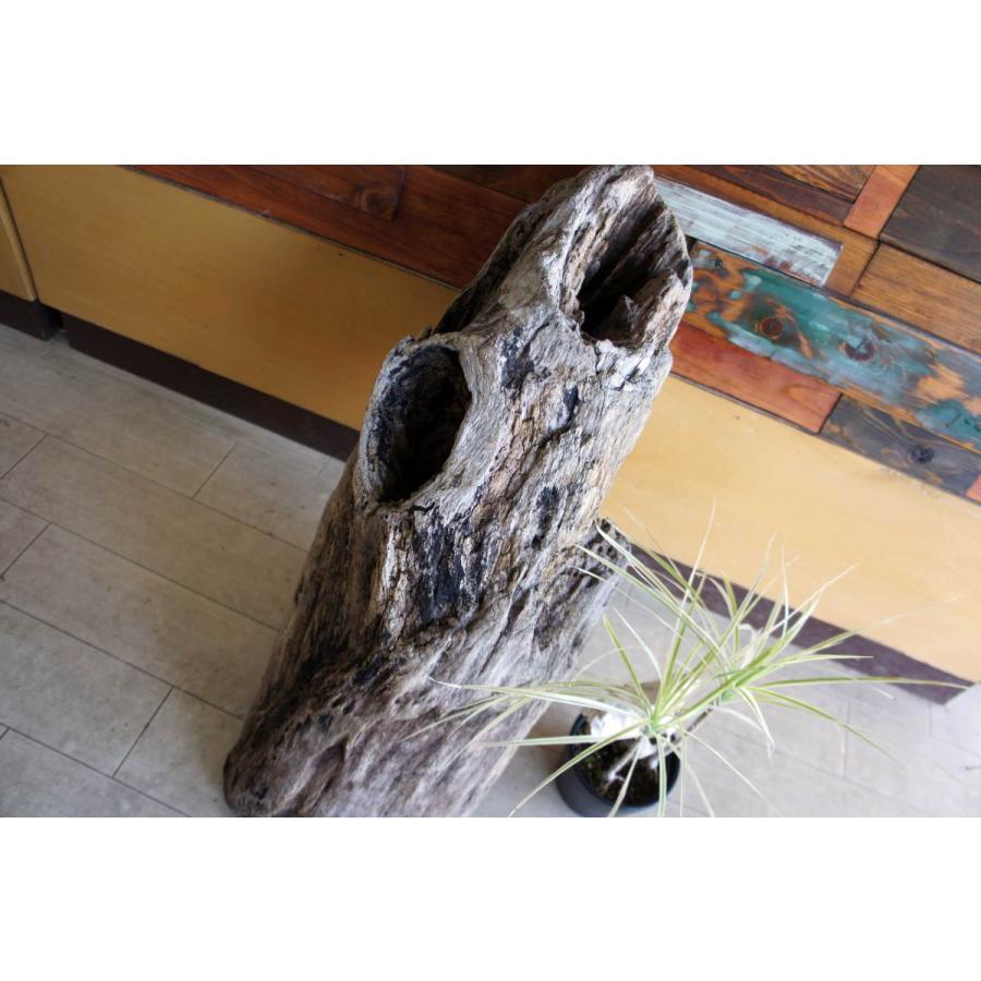 インテリア オブジェ 流木 おしゃれ ナチュラル 雑貨 観葉植物
