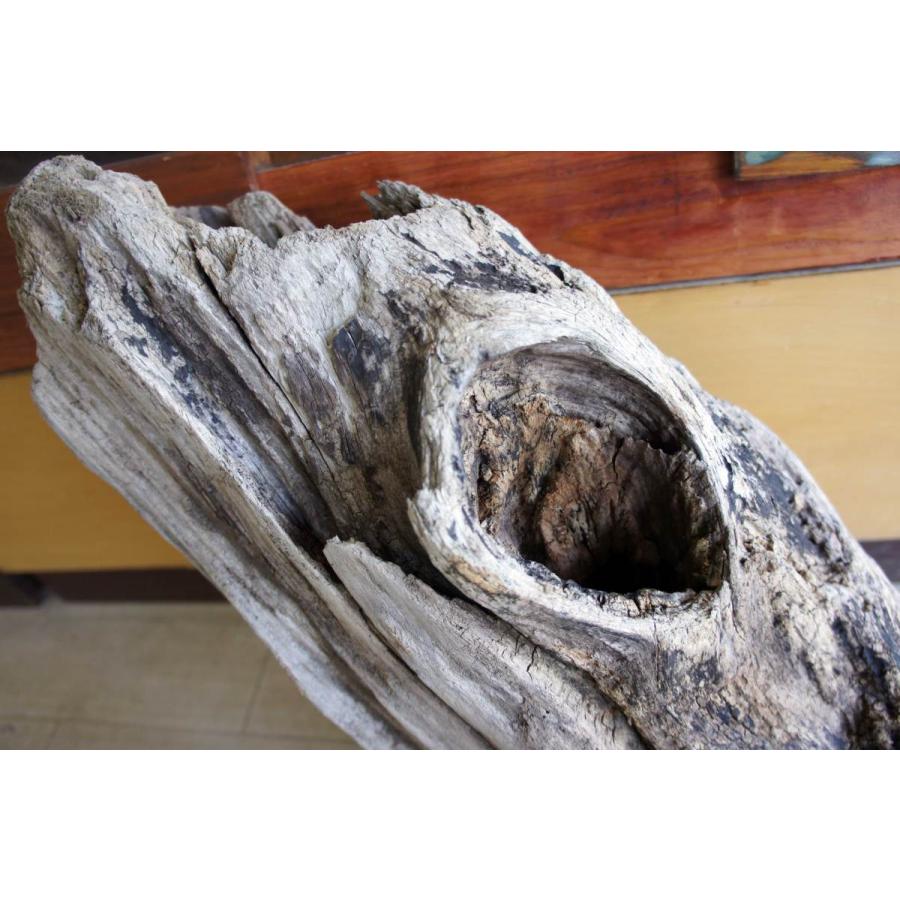 インテリア オブジェ 流木 おしゃれ ナチュラル 雑貨 観葉植物