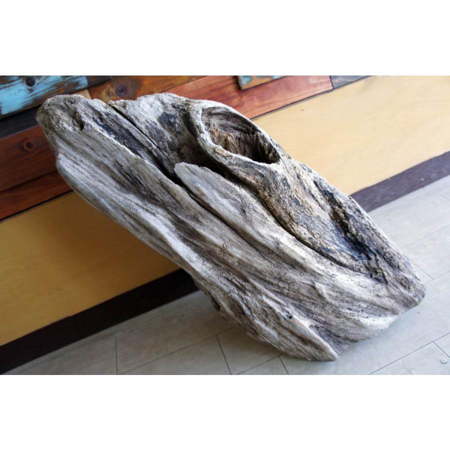 インテリア オブジェ 流木 おしゃれ ナチュラル 雑貨 観葉植物