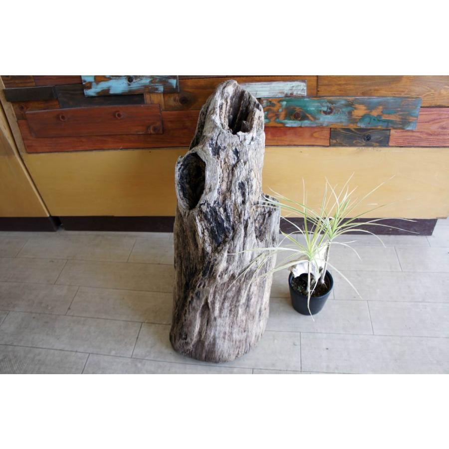 インテリア オブジェ 流木 おしゃれ ナチュラル 雑貨 観葉植物