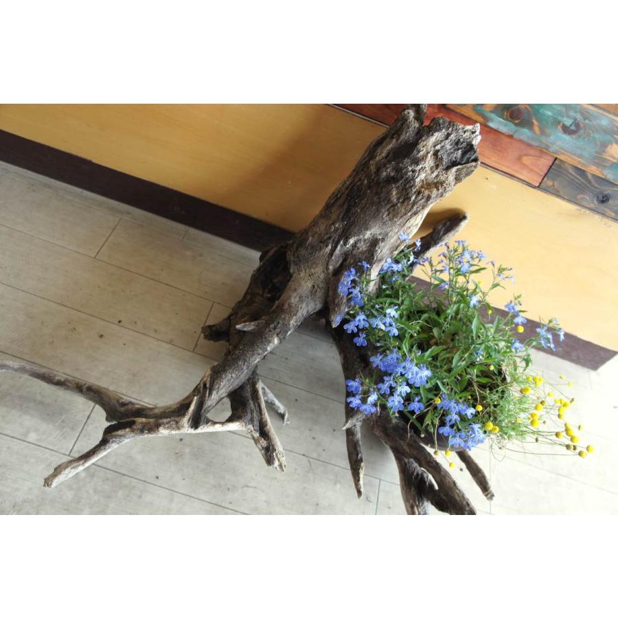 インテリア オブジェ 流木 おしゃれ ナチュラル 雑貨 観葉植物