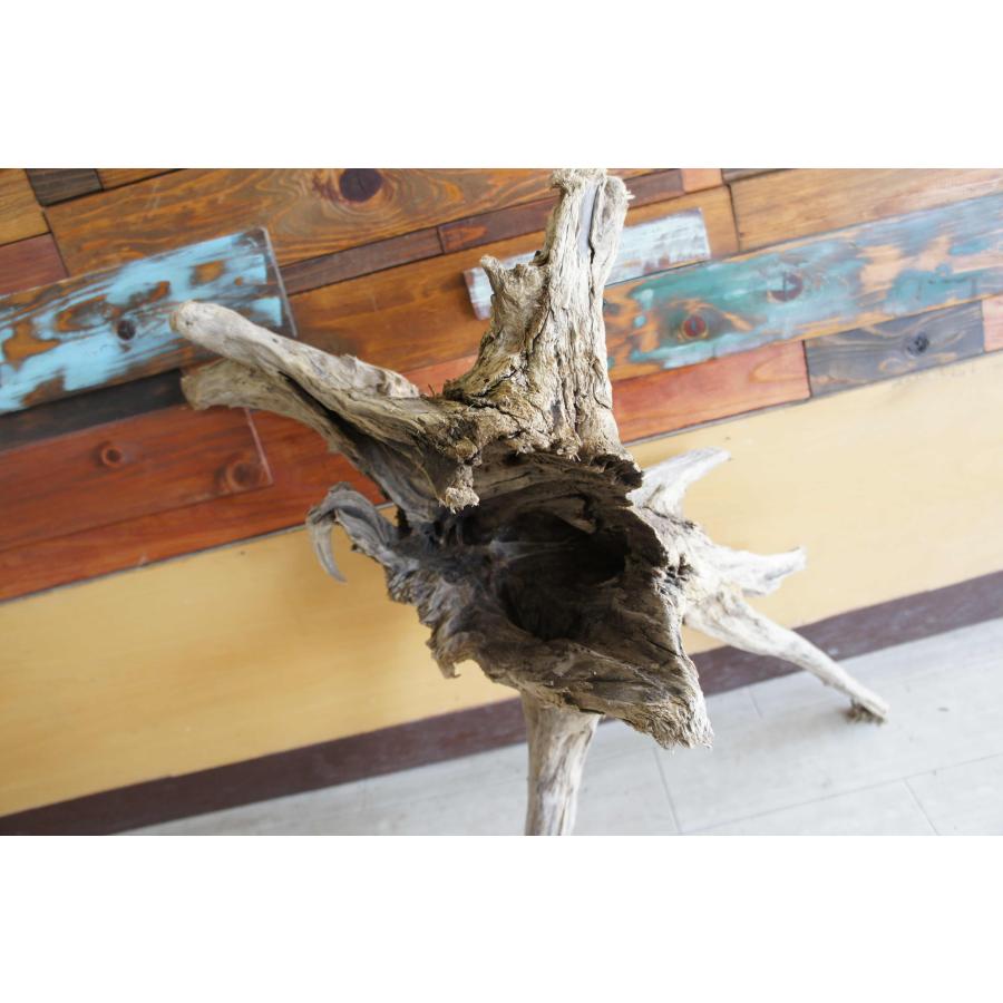 インテリア オブジェ おしゃれ 爬虫類 登り 木 流木 レイアウト