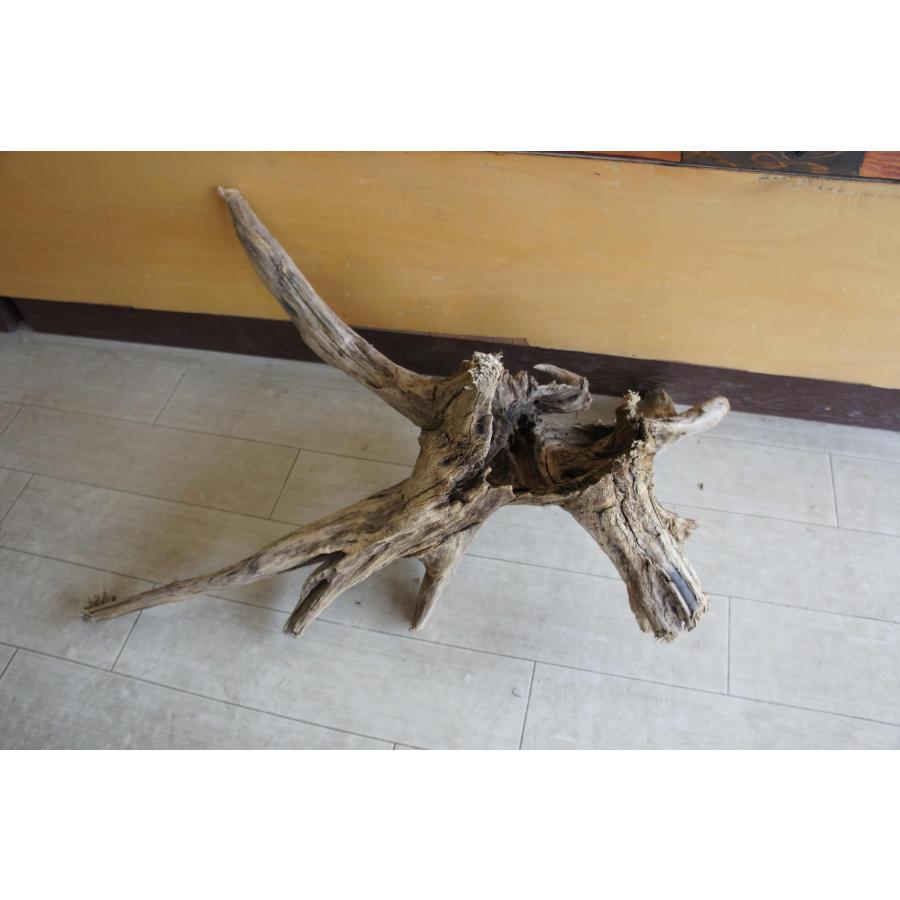 インテリア オブジェ おしゃれ 爬虫類 登り 木 流木 レイアウト