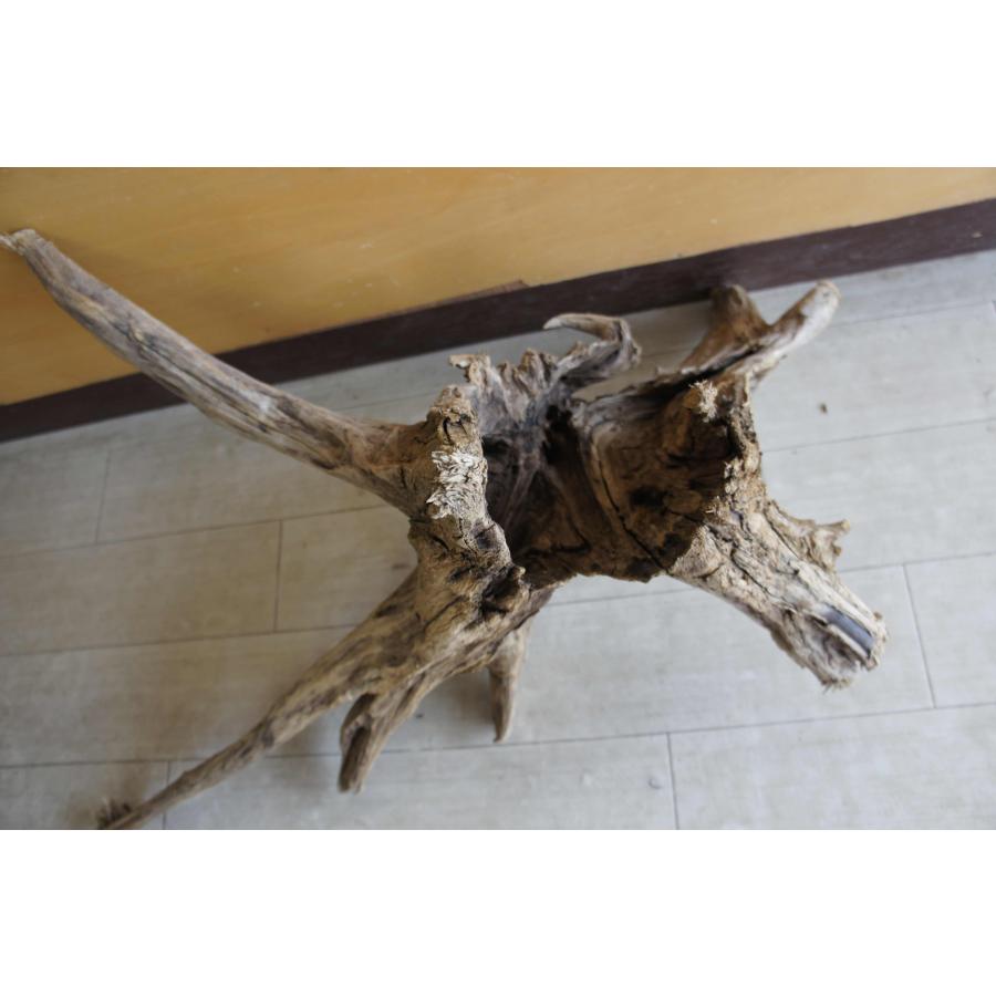 インテリア オブジェ おしゃれ 爬虫類 登り 木 流木 レイアウト