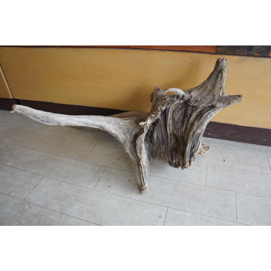 インテリア オブジェ おしゃれ 爬虫類 登り 木 流木 レイアウト