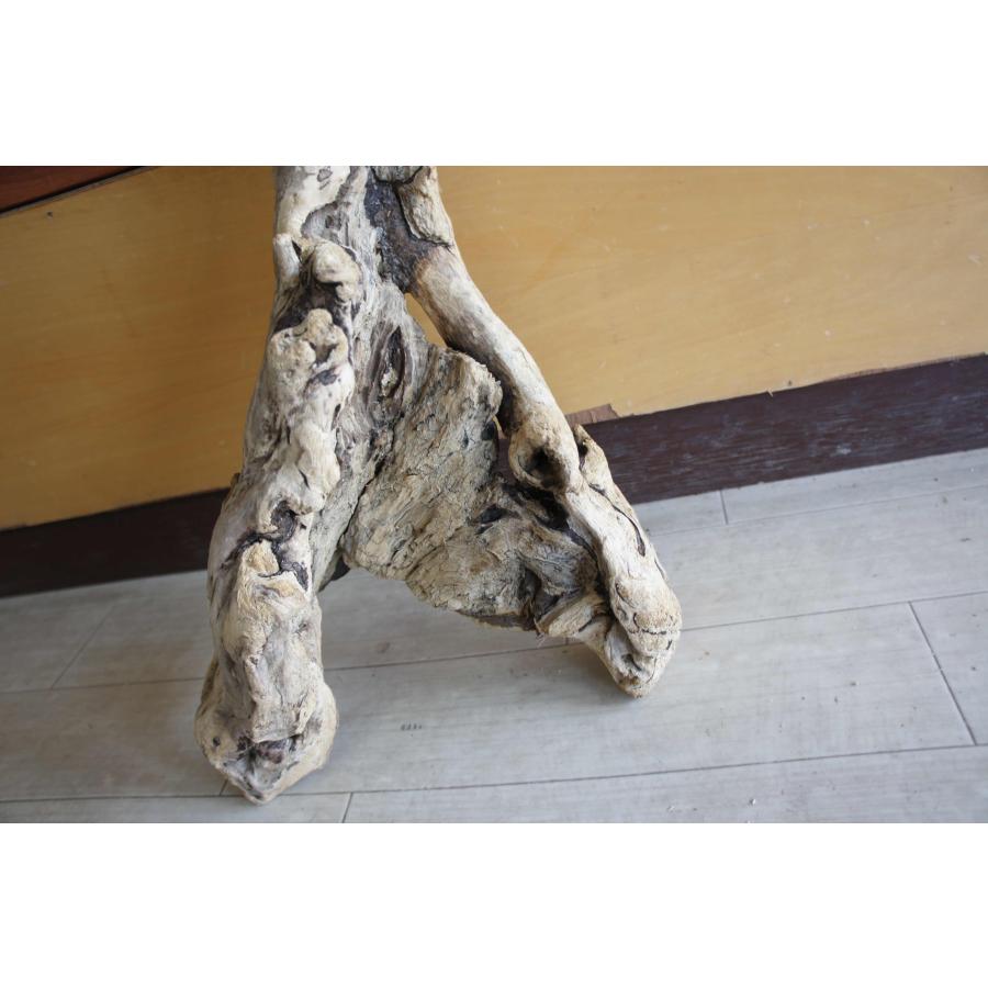 インテリア オブジェ おしゃれ 爬虫類 登り 木 流木 レイアウト