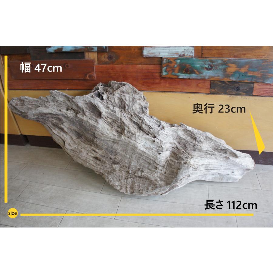 インテリア オブジェ おしゃれ 爬虫類 登り木 流木 レイアウト