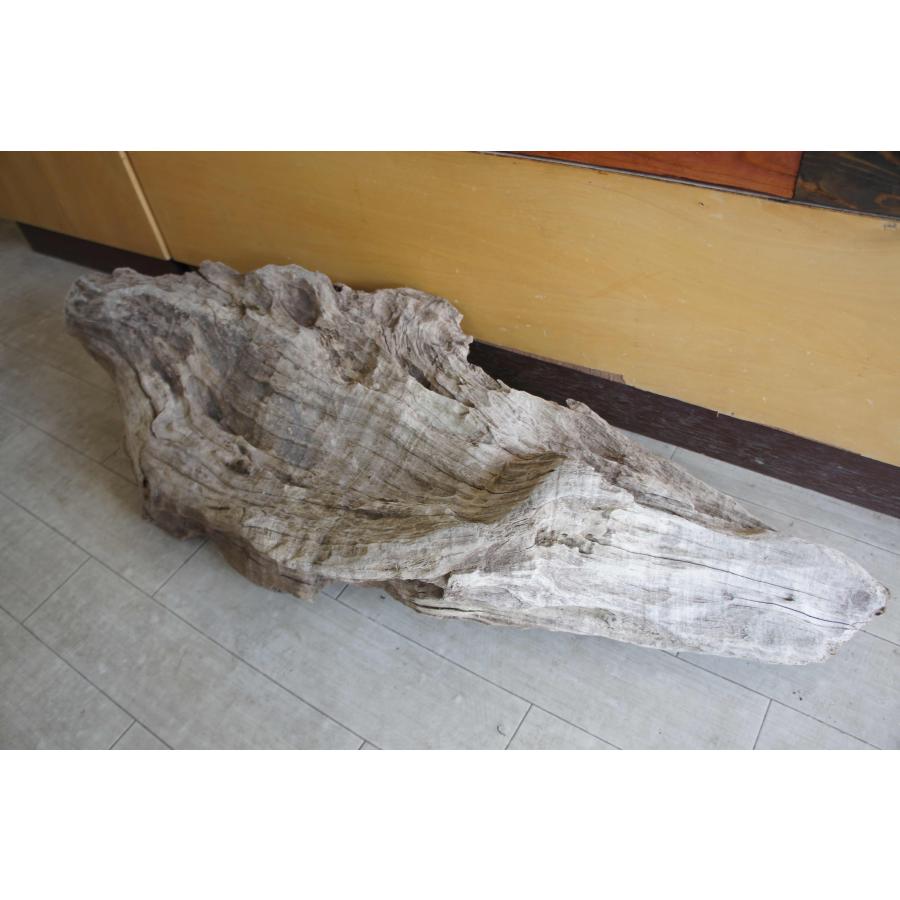 インテリア オブジェ おしゃれ 爬虫類 登り木 流木 レイアウト