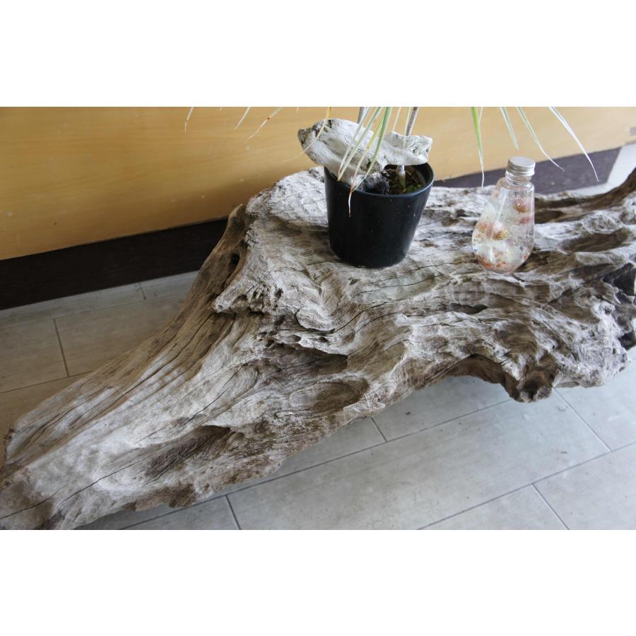 インテリア オブジェ おしゃれ 爬虫類 登り木 流木 レイアウト