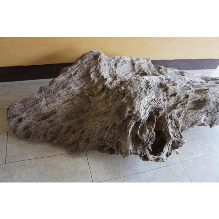 インテリア オブジェ おしゃれ 爬虫類 登り木 流木 レイアウト