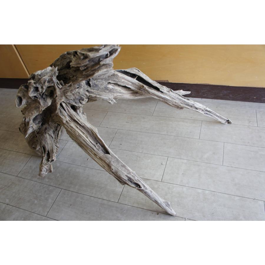 n18大型流木 アク抜き済み 爬虫類シェルター 登り木 パルダリウム