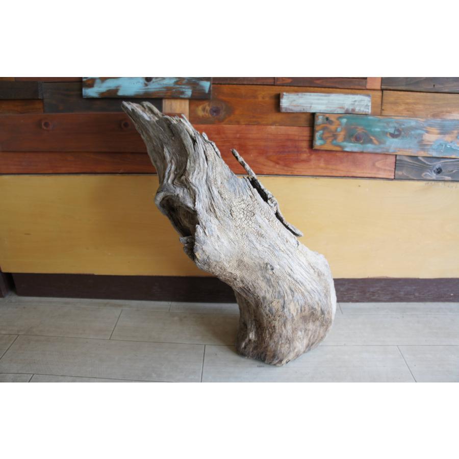 流木 大型サイズ インテリア オブジェ おしゃれ 爬虫類 登り木