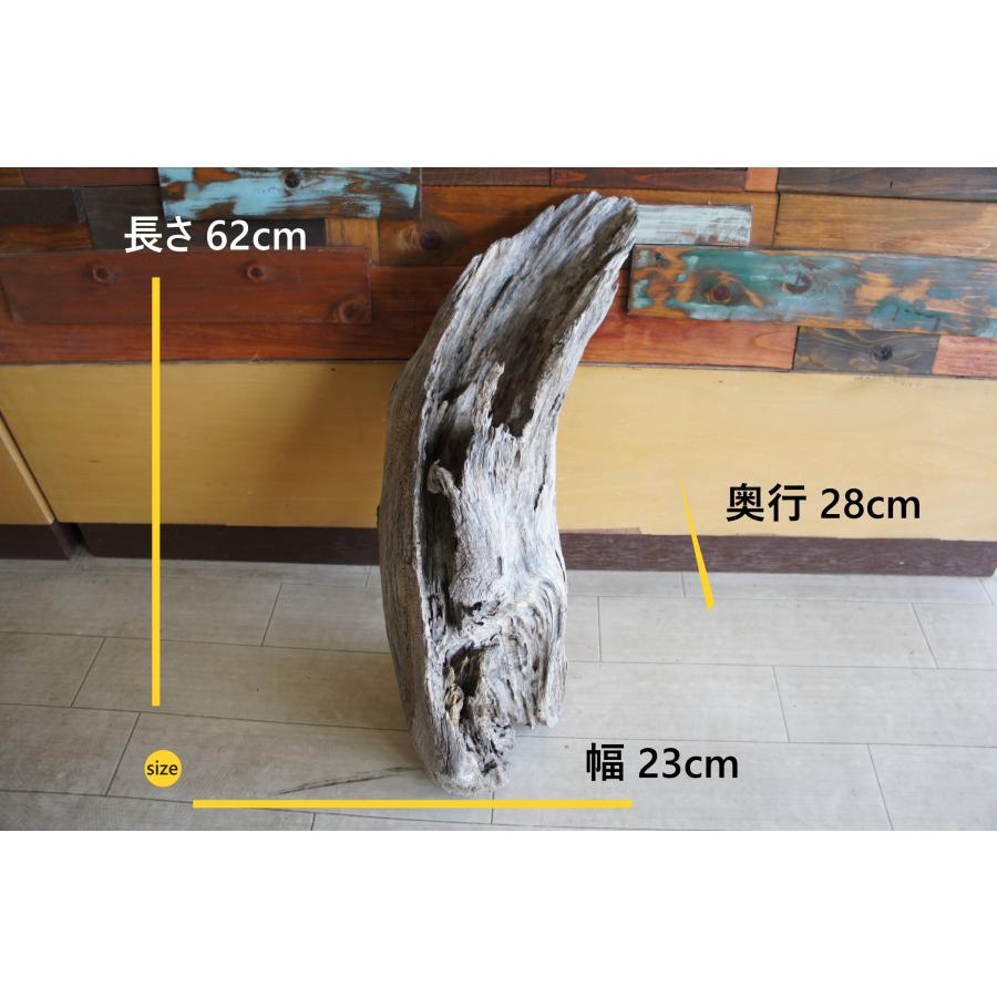 流木 大型サイズ インテリア オブジェ おしゃれ 爬虫類 登り木