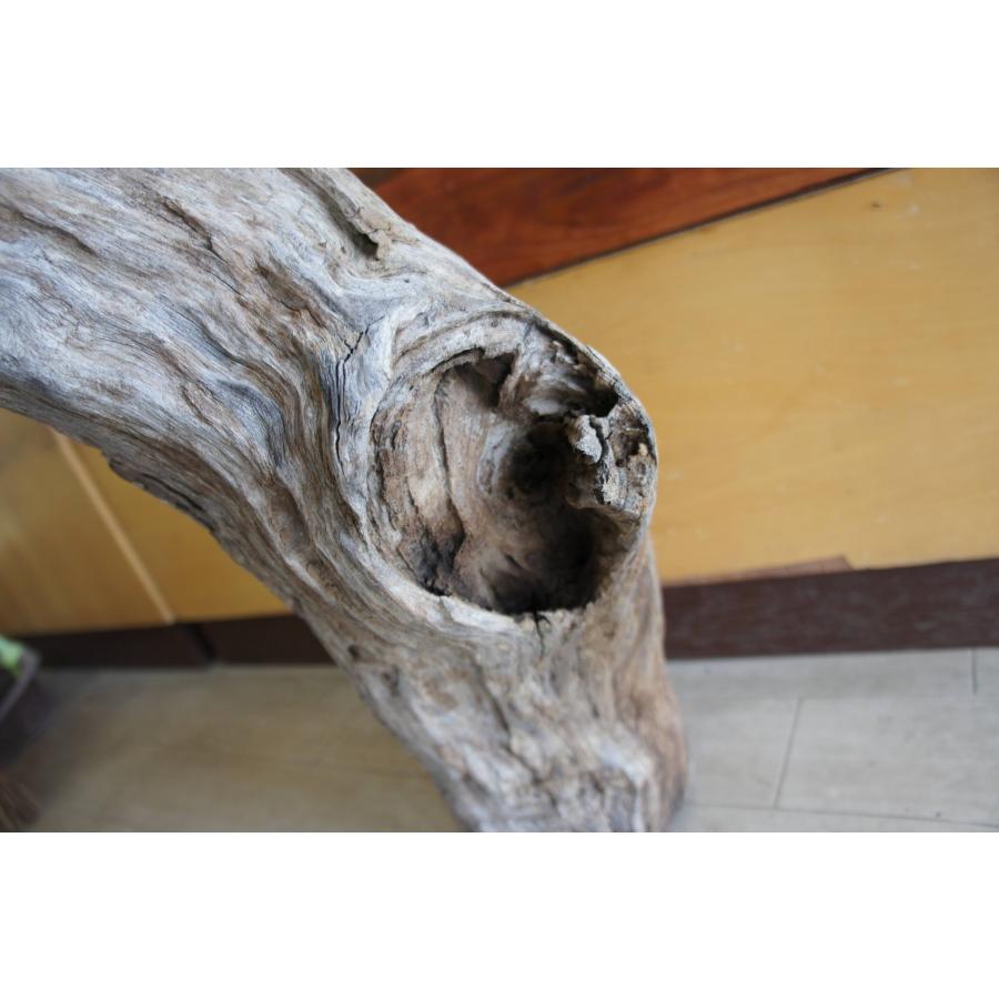 流木 大型サイズ インテリア オブジェ おしゃれ 爬虫類 登り木