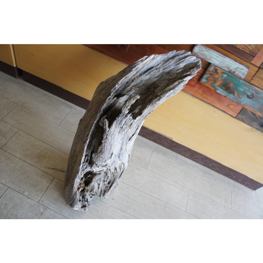 流木 大型サイズ インテリア オブジェ おしゃれ 爬虫類 登り木