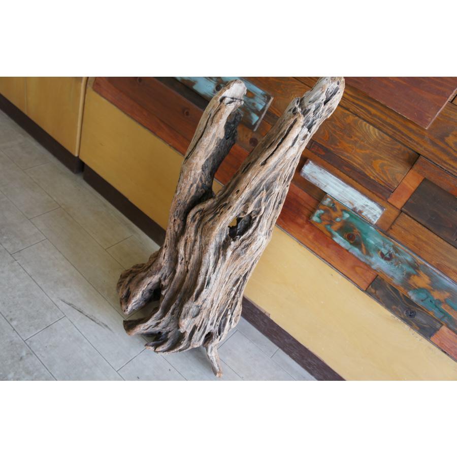 流木 大型サイズ インテリア オブジェ おしゃれ 爬虫類 登り木