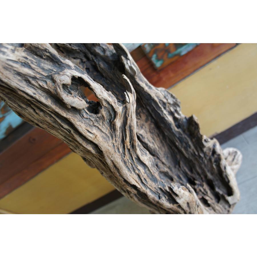 流木 大型サイズ インテリア オブジェ おしゃれ 爬虫類 登り木