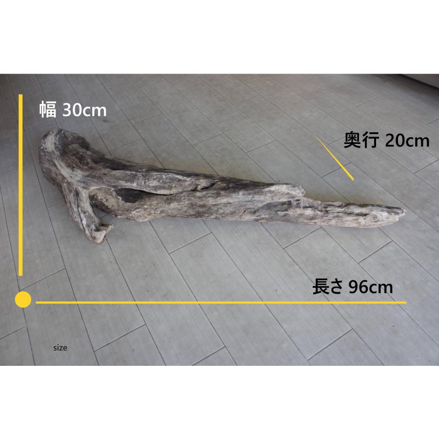 R71特大流木 アク抜き済み流木 爬虫類シェルター 登り木 インテリア 生け花 爬虫類用流木のおすすめ人気ランキング【2026年5月】 | マイベスト