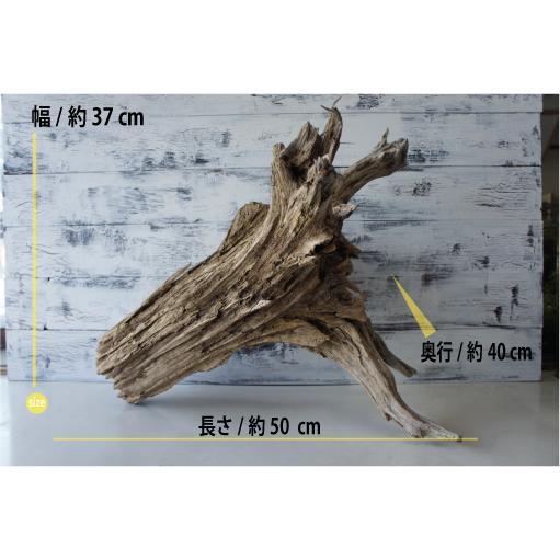流木 大型サイズ インテリア オブジェ おしゃれ 爬虫類 登り木