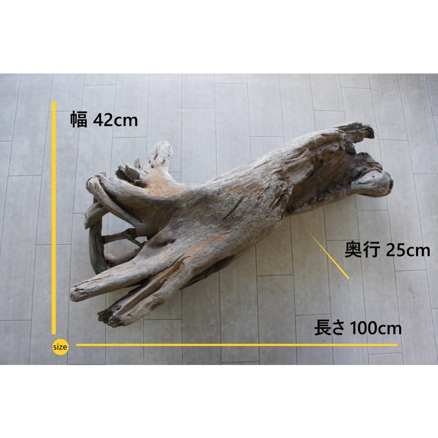 流木 大型サイズ インテリア オブジェ 爬虫類 小動物 登り木 流木 大型サイズ インテリア オブジェ 爬虫類 小動物 登り木