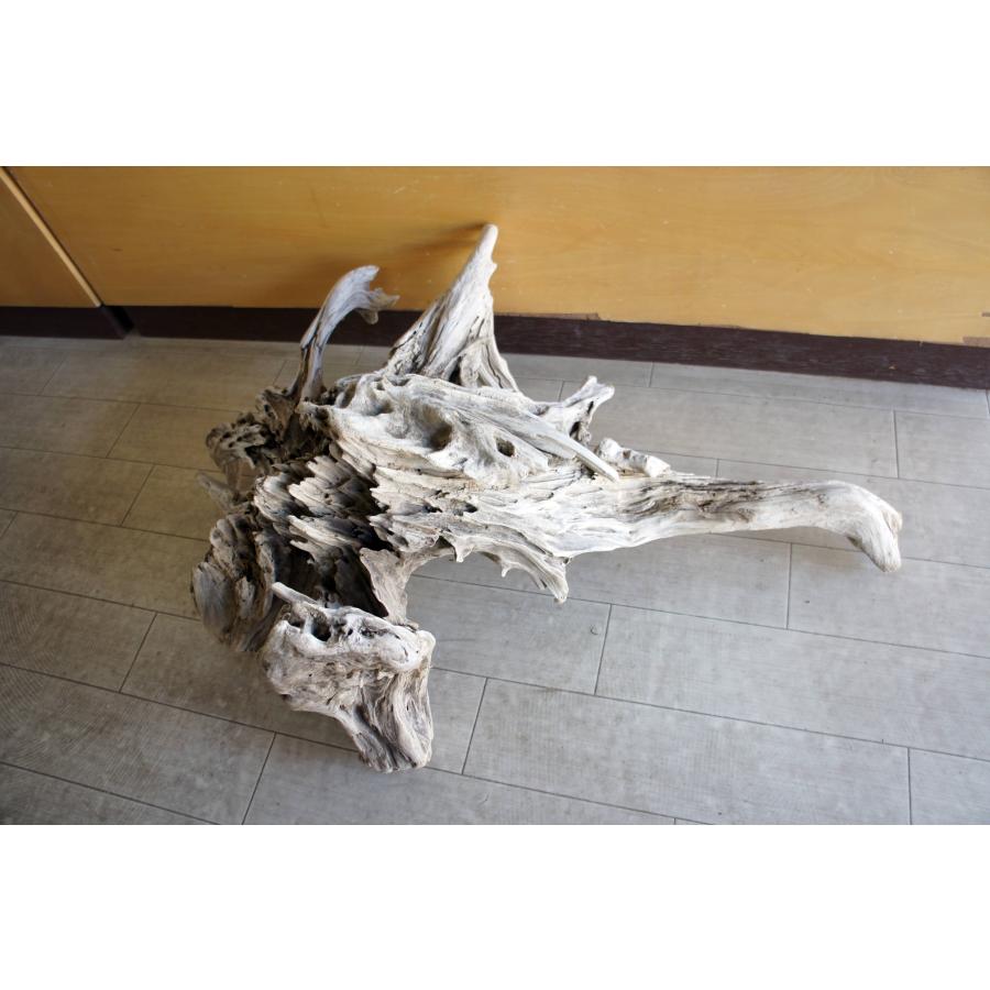 流木 大型サイズ インテリア オブジェ 爬虫類 小動物 登り木 