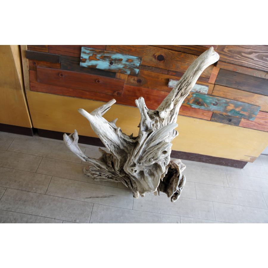 流木 大型サイズ インテリア オブジェ 爬虫類 小動物 登り木