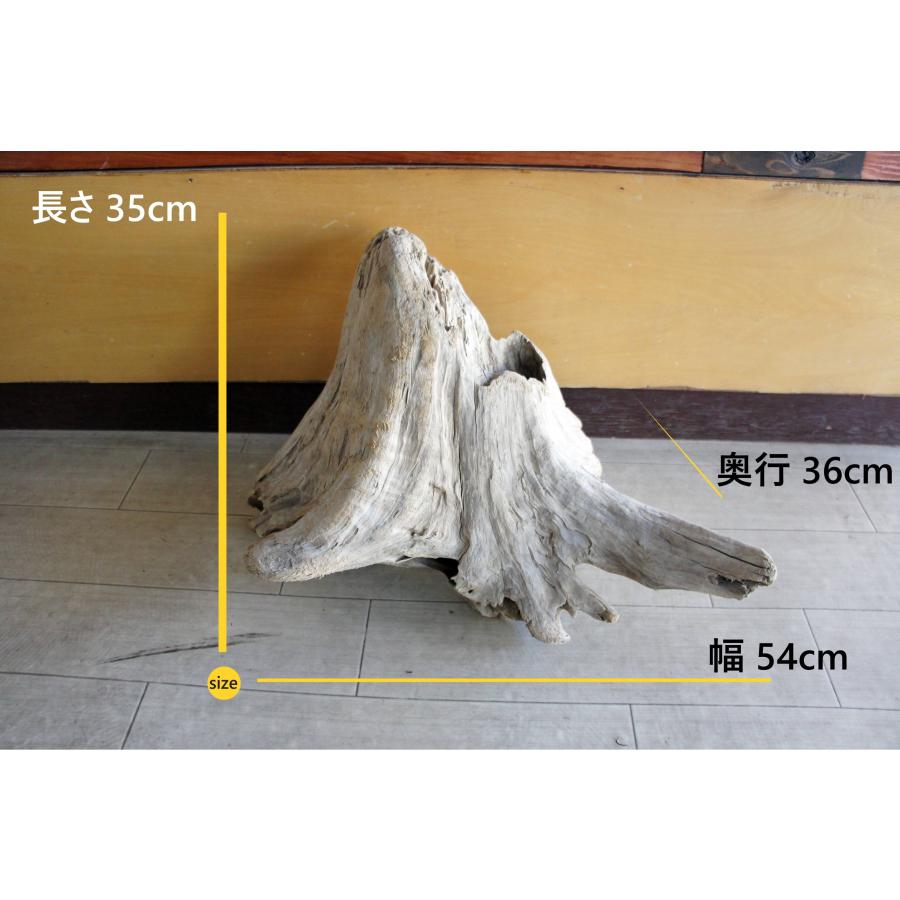 流木　インテリア　大型サイズ　オブジェ　ＤＩＹ　置物　登り木　爬虫類　小動物 流木 大型サイズ インテリア オブジェ 観葉植物 おしゃれ 爬虫類