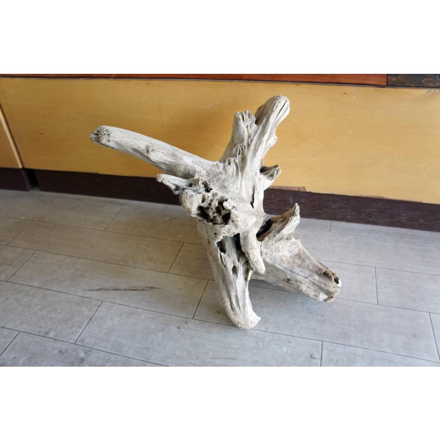 流木 インテリア 大型サイズ オブジェ ケージ 登り木 爬虫類 小動物