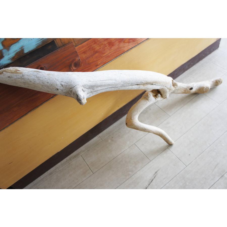 流木 大型サイズ インテリア オブジェ 爬虫類 小動物 登り木