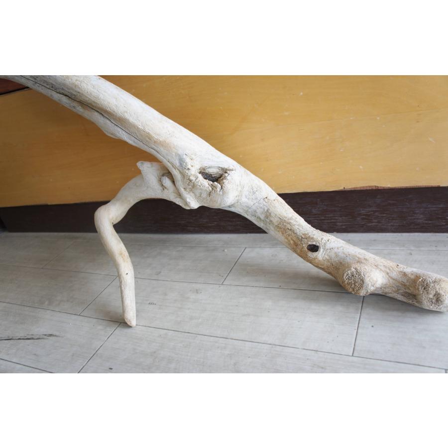 流木 大型サイズ インテリア オブジェ 爬虫類 小動物 登り木