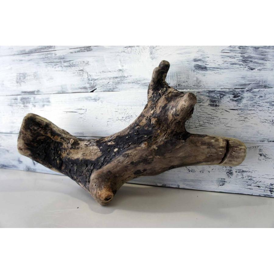 流木 爬虫類 登り木 飼育 テラリウム 水槽 ケージ レイアウト 止まり木 ディスプレイ 昆虫 インテリア 生き物 024 Tera024 Wood Drops 通販 Yahoo ショッピング