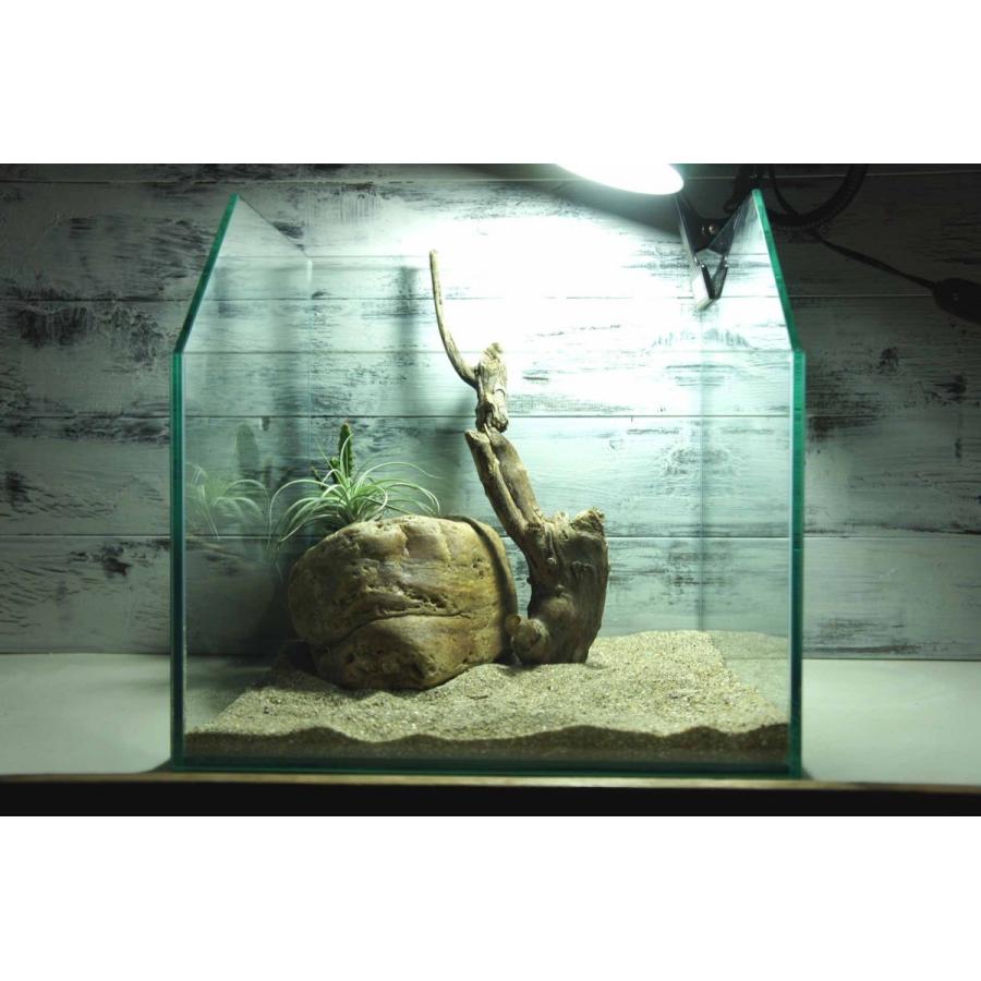 流木 テラリウム 爬虫類 昆虫 登り木 インテリア ギガランキングｊｐ