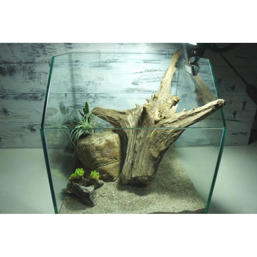 流木 テラリウム 087 爬虫類 昆虫 登り木 アクアテラリウム インテリア Tera087 Wood Drops 通販 Yahoo ショッピング