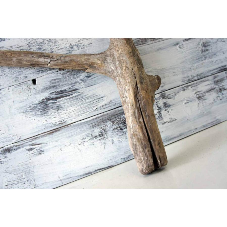 流木 爬虫類 登り木 あく抜き処理 煮沸消毒済 トカゲ ヤモリ ケージ