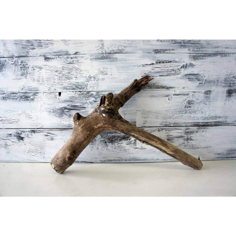 爬虫類ガラスゲージ　流木セット 爬虫類ガラスゲージ 流木セット 爬虫類ガラスゲージ 流木セット 爬虫類