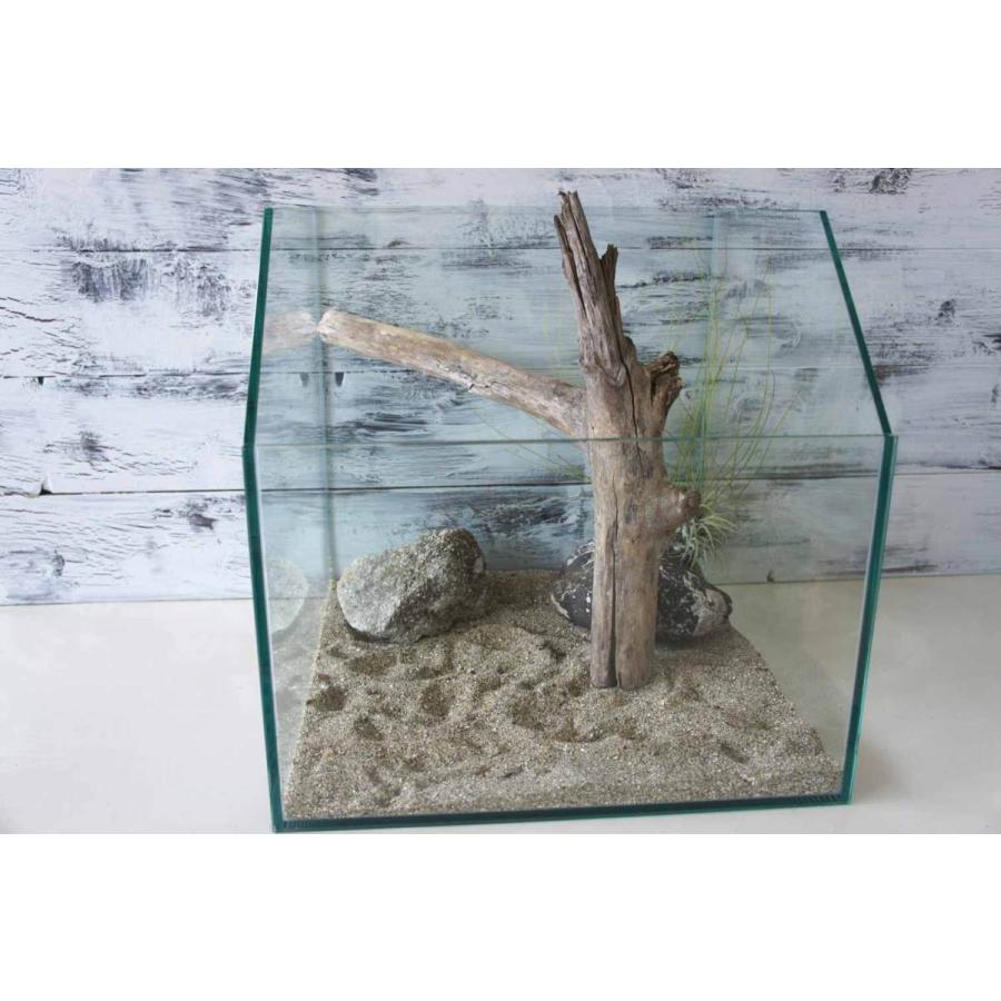 流木 爬虫類 登り木 あく抜き処理 煮沸消毒済 トカゲ ヤモリ ケージ