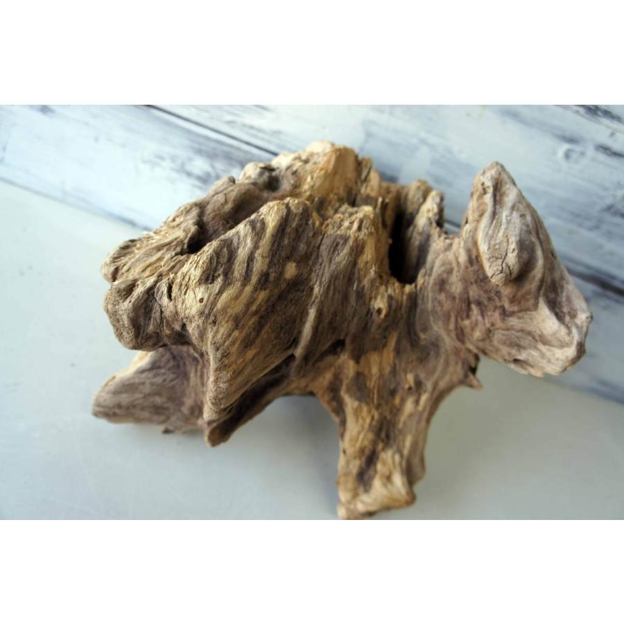 爬虫類ガラスゲージ　流木セット 爬虫類ガラスゲージ 流木セット 爬虫類ガラスゲージ流木セット