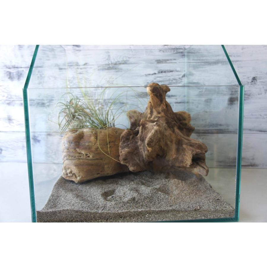 流木 爬虫類 登り木 あく抜き処理 煮沸消毒済 トカゲ ヤモリ