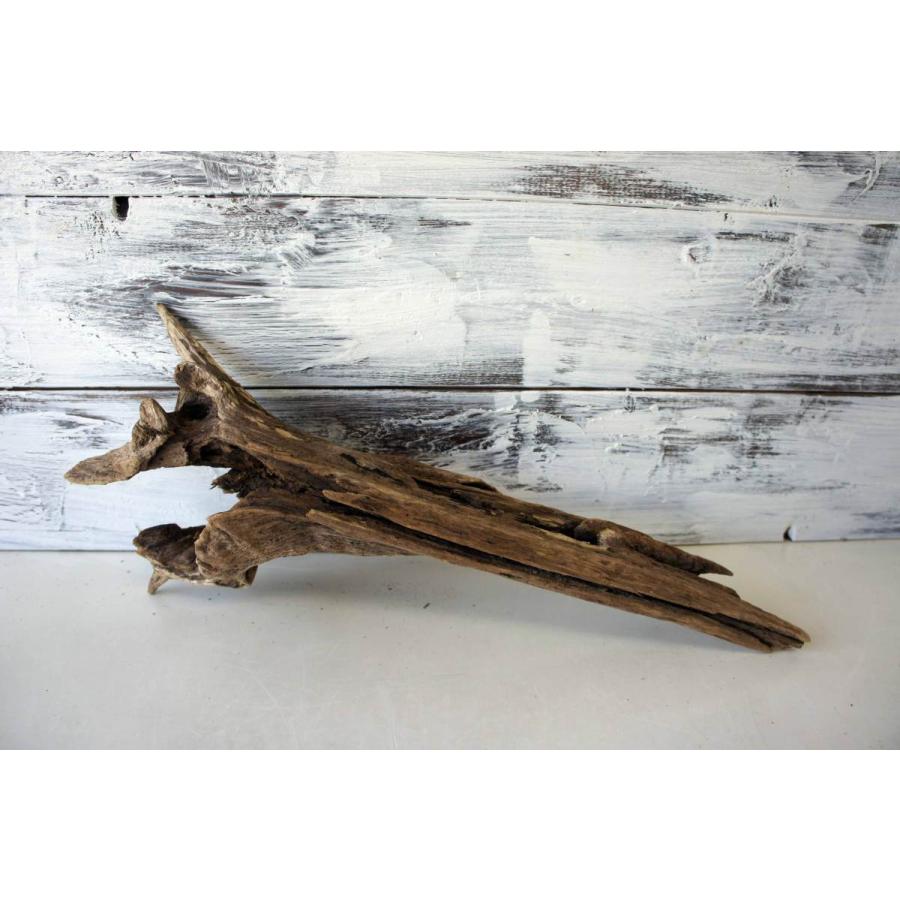 市場 流木 登り木 インテリア 止まり木 昆虫 レイアウト オブジェ