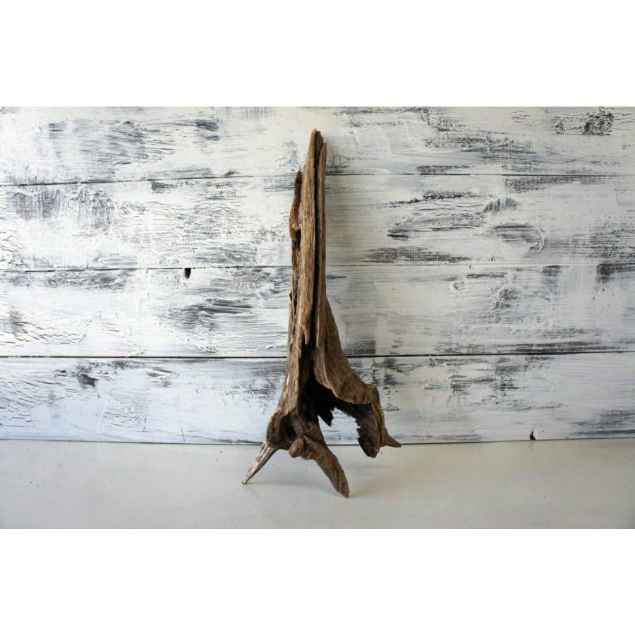 流木 爬虫類 登り木 飼育 アク抜き処理済 テラリウム 水槽 ケージ レイアウト 止まり木 ディスプレイ 昆虫 生き物 ヤモリ 235 Tera235 Wood Drops 通販 Yahoo ショッピング