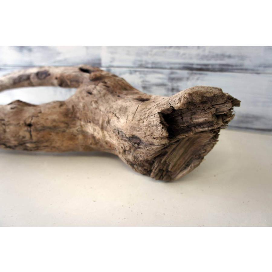 流木 大型 テラリウム 爬虫類 イグアナ 登り木 オシャレ ペット