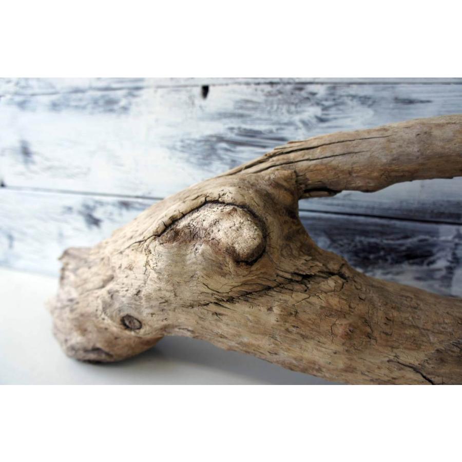 流木 大型 テラリウム 爬虫類 イグアナ 登り木 オシャレ ペット