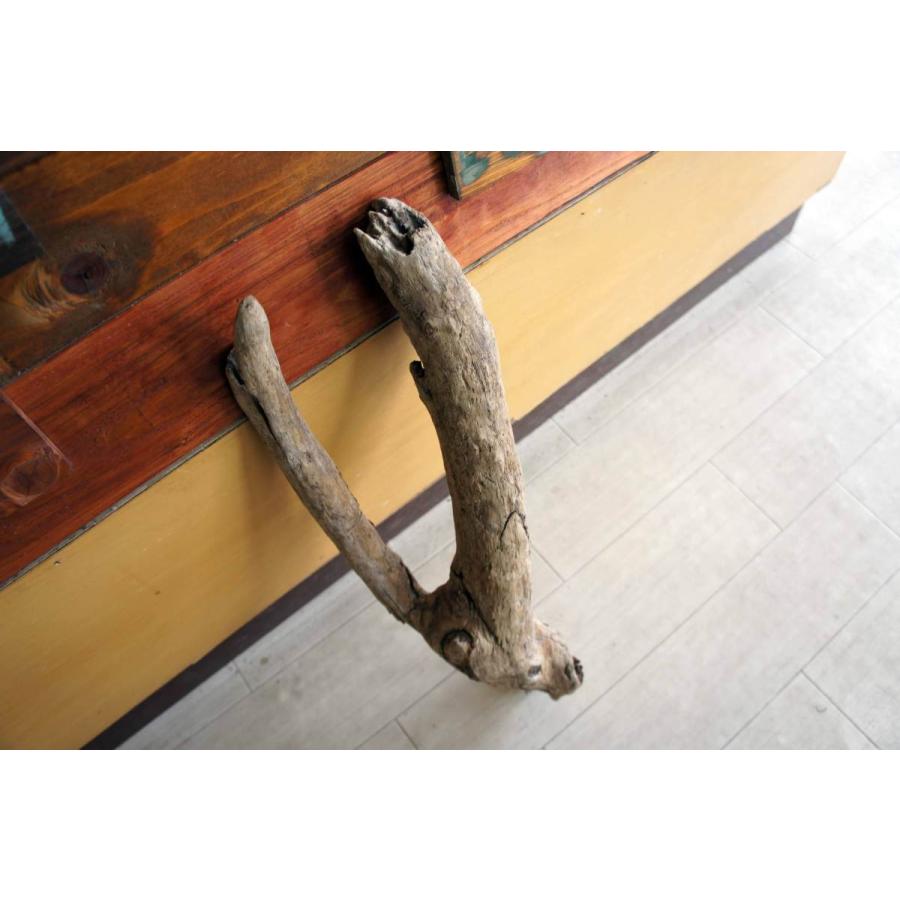 R58特大流木 大型流木 アク抜き済み 爬虫類シェルター テラリウム インテリア R58特大流木 大型流木 アク抜き済み 爬虫類シェルター テラリウム