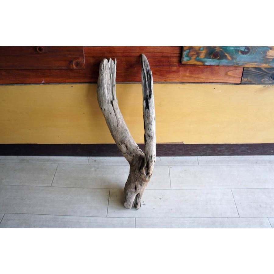 R58特大流木 大型流木 アク抜き済み 爬虫類シェルター テラリウム インテリア V45特大流木 アク抜き済み流木 爬虫類シェルター 登り木