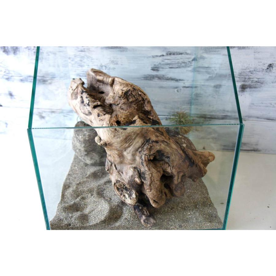 流木 爬虫類 登り木 あく抜き処理 煮沸消毒済 トカゲ ヤモリ ケージ