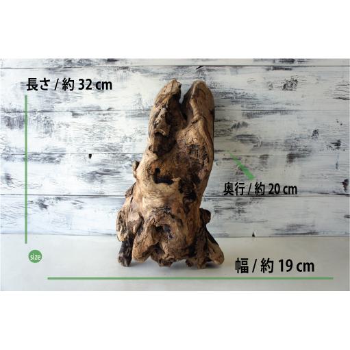 流木 爬虫類 登り木 あく抜き処理 煮沸消毒済 トカゲ ヤモリ ケージ