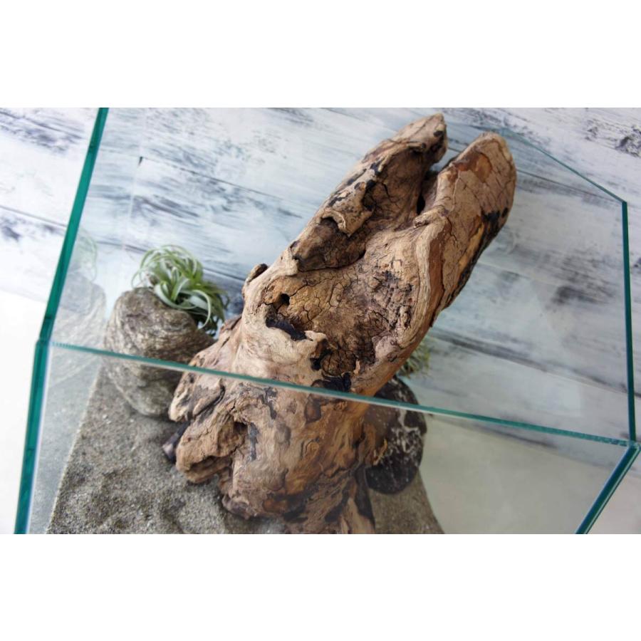 爬虫類ガラスゲージ　流木セット 爬虫類ガラスゲージ流木セット