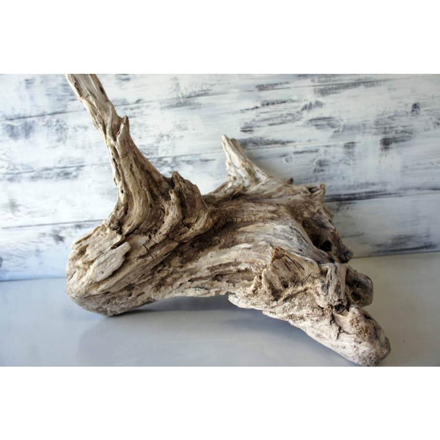 注文割引 特大流木 M18 うねり インテリア 登り木 爬虫類 アク抜き済み 両面自立可能 爬虫類 両生類用品